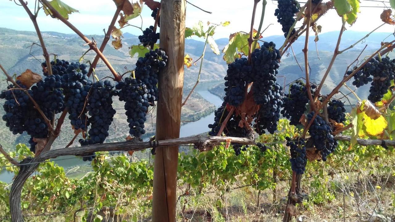 Stay At The Winemaker Ervedosa do Douro ภายนอก รูปภาพ
