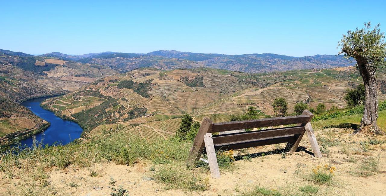 Stay At The Winemaker Ervedosa do Douro ภายนอก รูปภาพ