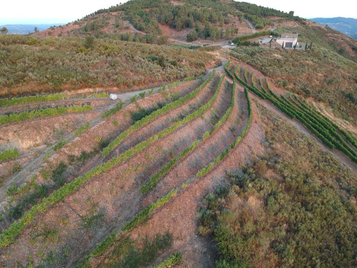 Stay At The Winemaker Ervedosa do Douro ภายนอก รูปภาพ