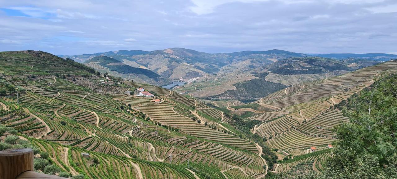 Stay At The Winemaker Ervedosa do Douro ภายนอก รูปภาพ